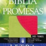 Biblia de las Promesas, RVR60, Letra Grande dos Tonos